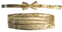 202-champagne Tie Set