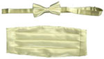 202-ivory Tie Set