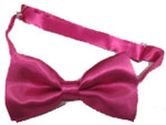 208-fuchsia Bow Tie