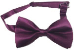 208-plum Bow Tie