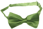 208-sage Bow Tie