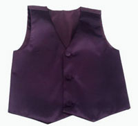 209-eggplant vest