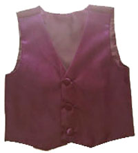 209-plum vest