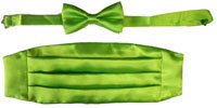 202-apple green Tie Set