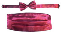 202-burgundy Tie Set