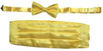 202-yellow Tie Set