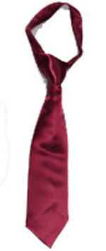204-burgundy neck tie