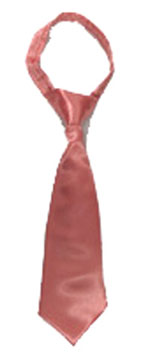 204-coral neck tie