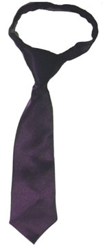 204-eggplant-neck-tie