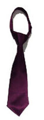 204-plum neck tie