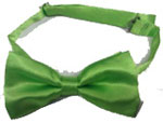 208-apple green Bow Tie