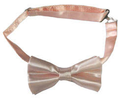 208-blush Bow Tie