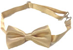 208-champagne Bow Tie