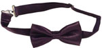 208-eggplant-bow-tie