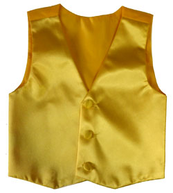 209-gold vest