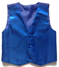 209-royal blue vest