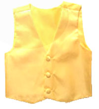 209-yellow vest